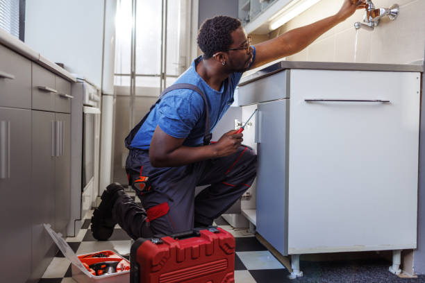 Best Local Plumber Services  in Pisgah, AL